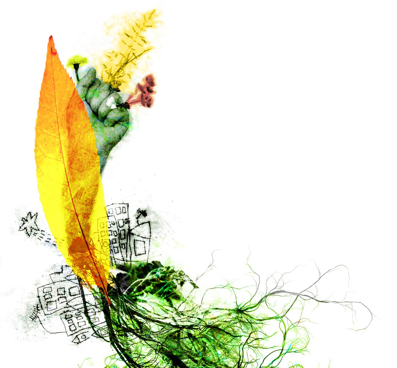 visuel web2CF