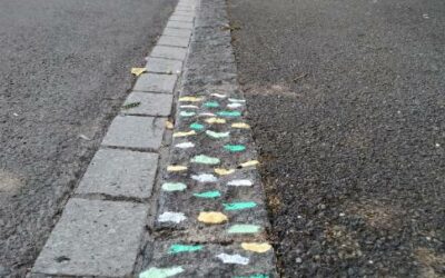 La promenade prend forme…
