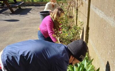 A Cleunay, les vendredis c’est jardinage avec les voisins…