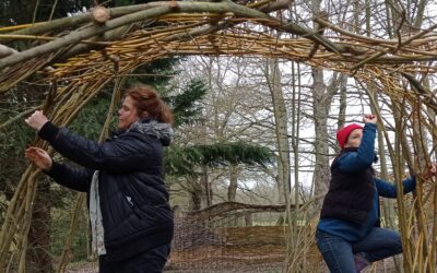 Explorations végétales avec l’équipe des Jardins de Brocéliande