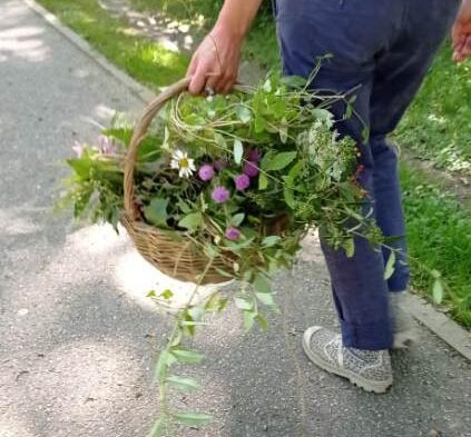 Ça pousse même dans les têtes! Le Centre Social de Cleunay s’est ensauvagé vendredi…