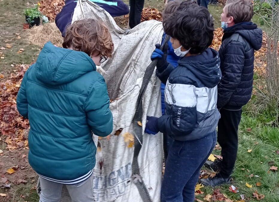 Cité Fertile se construit aussi avec le collège de Cleunay